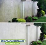 wash guard srodek do czyszczenia elewacji